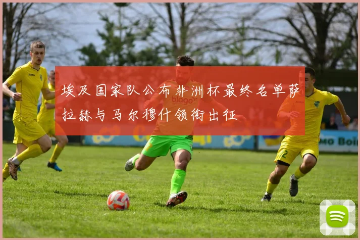 埃及国家队公布非洲杯最终名单萨拉赫与马尔穆什领衔出征