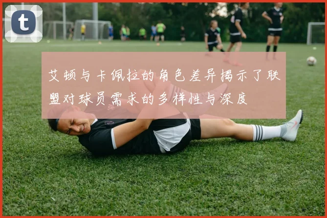 艾顿与卡佩拉的角色差异揭示了联盟对球员需求的多样性与深度