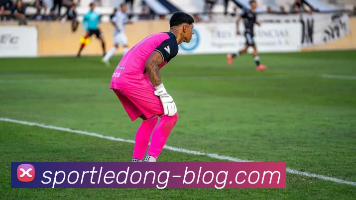 乐动体育APP 高清赛事图